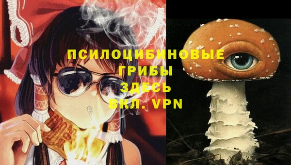мдпв Медвежьегорск