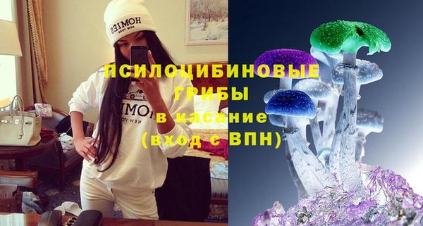 мдпв Медвежьегорск