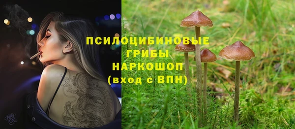 mdma Мегион