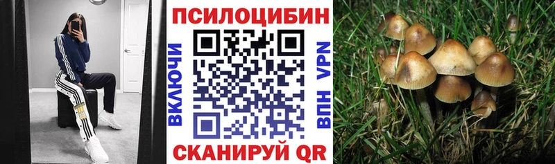 Галлюциногенные грибы мухоморы Мурманск