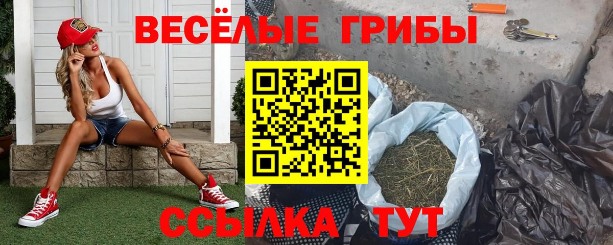 МЕФ Мурманск