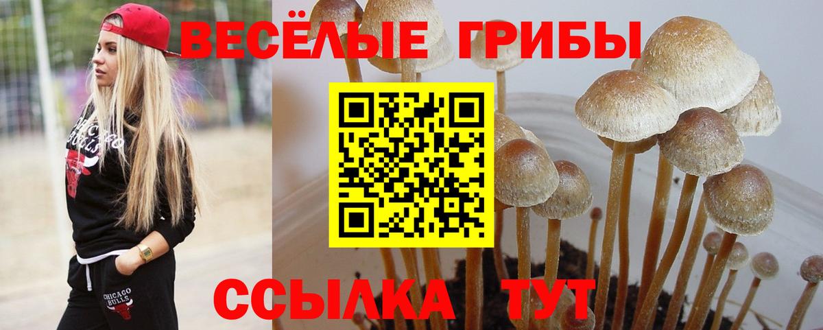 Галлюциногенные грибы прущие грибы  Мурманск  Галлюциногенные грибы мухоморы 