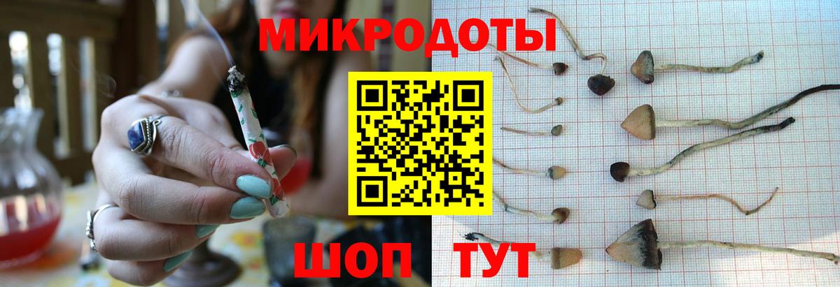 Псилоцибиновые грибы Cubensis Мурманск
