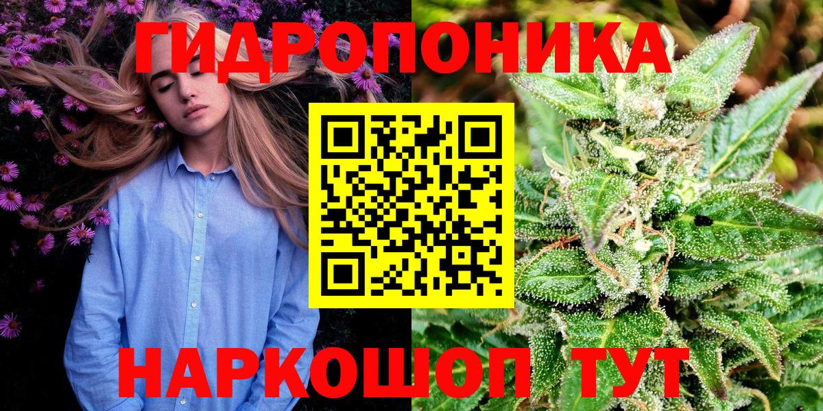 Бошки марихуана OG Kush Мурманск